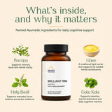 Kerala Ayurveda ghee matriz ilustrada para mejor absorción vegetal