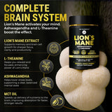 KEY ELEMENTS textura del extracto de Lion's Mane resaltando pureza orgánica