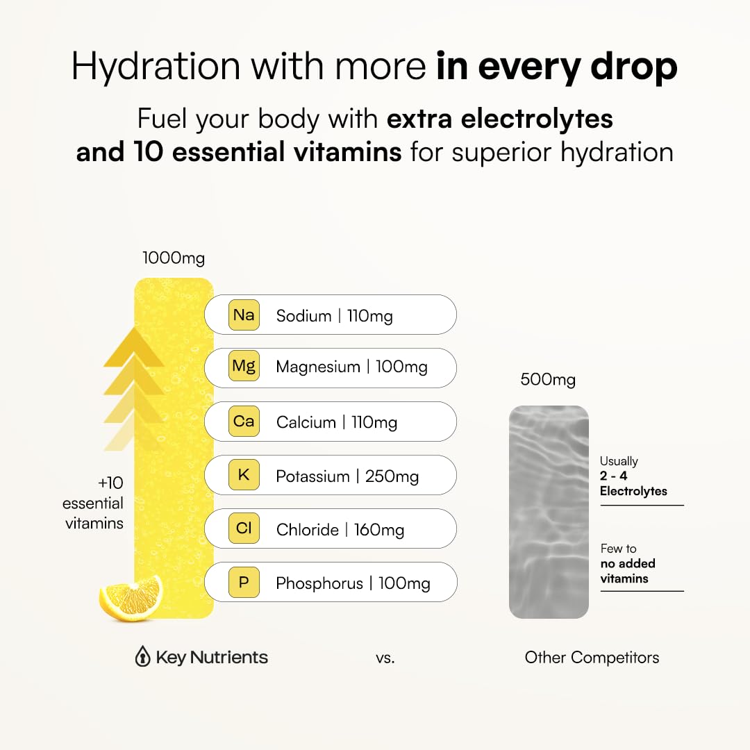 KEY NUTRIENTS selección de ingredientes clave mostrando minerales y vitaminas