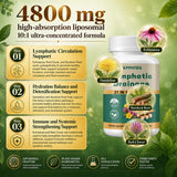 KFPHTEQ ingredientes frescos diente de león y bardana que nutren