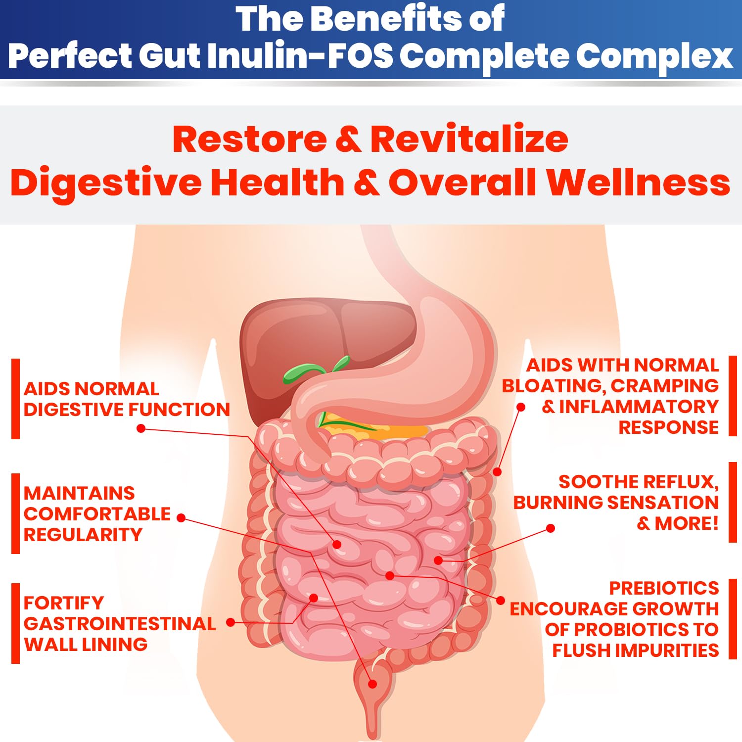 Kidney Restore polvo mezclado en smoothie para digestión cómoda