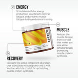 Cucharada con una porción de Kion Aminos, medida práctica para 30 servicios
