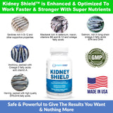 Mano sosteniendo el 2‑pack Kidney Restore y Kidney Shield para escala.