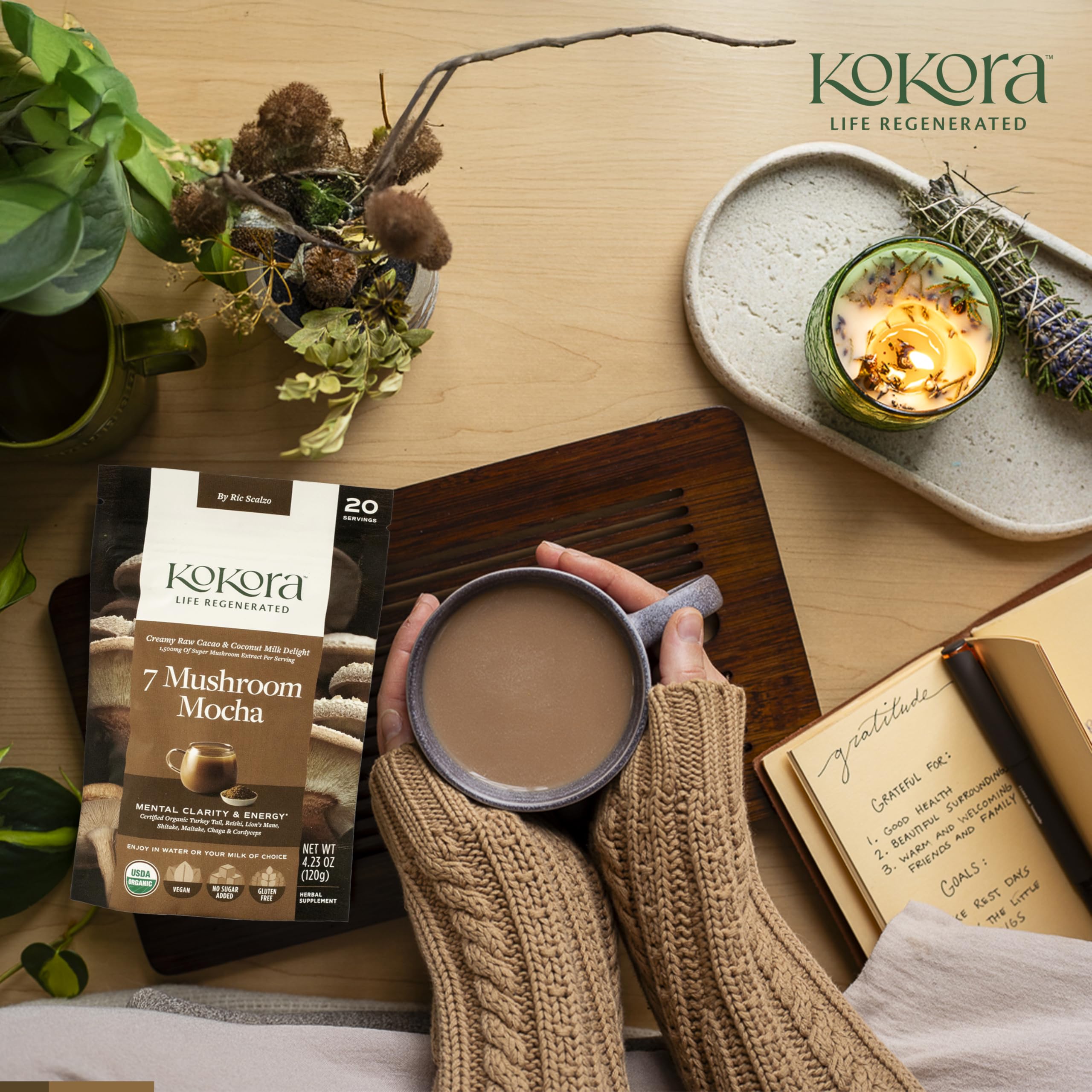 kokora hongos secos cuerpo fructífero, evidencia de ingredientes orgánicos
