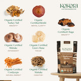 kokora taza de mocha preparada, sabor cremoso y alternativa al café
