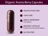 KOYAH bayas de aronia frescas que ilustran la fuente orgánica del suplemento