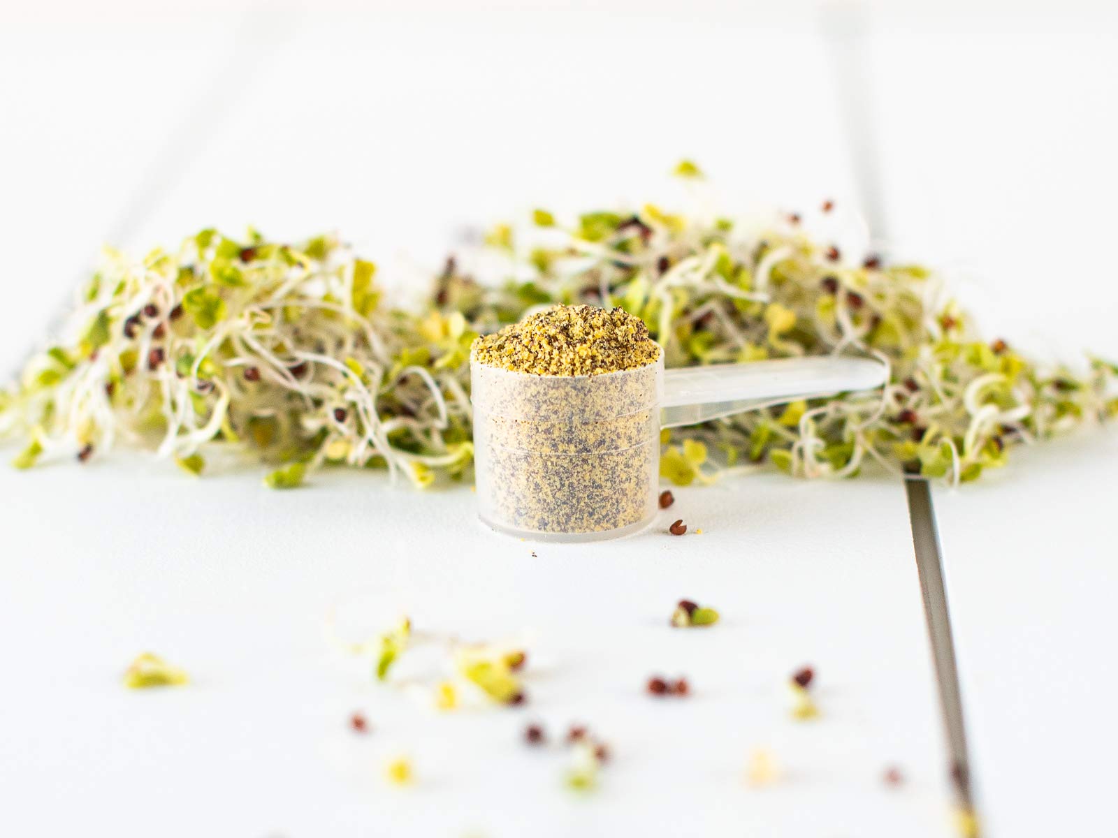 KOYAH polvo usado en cocina con ingredientes, idea de integración en recetas diarias