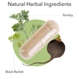 Kroeger Herb Products detalle de polvo de rábano negro para mayor absorción