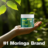 Kuli Kuli agricultores en finca cultivando moringa sostenible