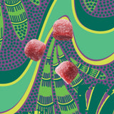 Kuli Kuli frasco abierto con gomitas, fácil acceso y conservación