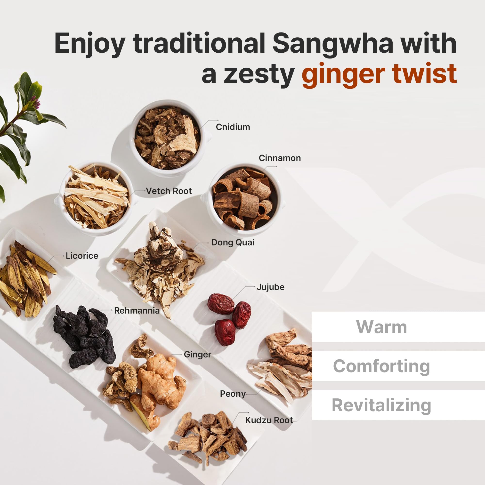 KWANGDONG textura del líquido con jengibre, aspecto nutritivo