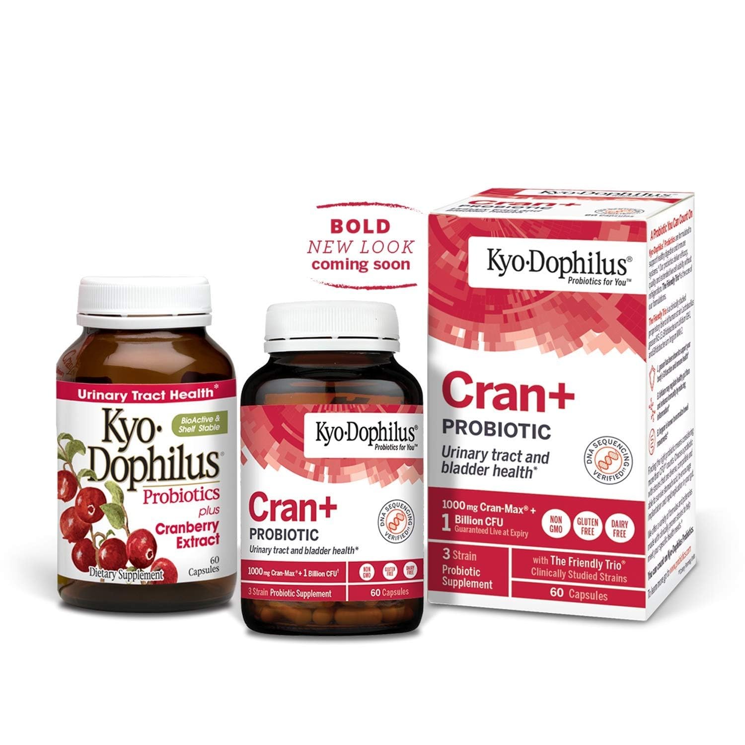 Kyolic caja abierta con cápsulas superior vista presenta cantidad y presentación