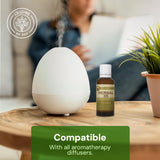L’eudine aroma difundido en sala para crear ambiente relajante