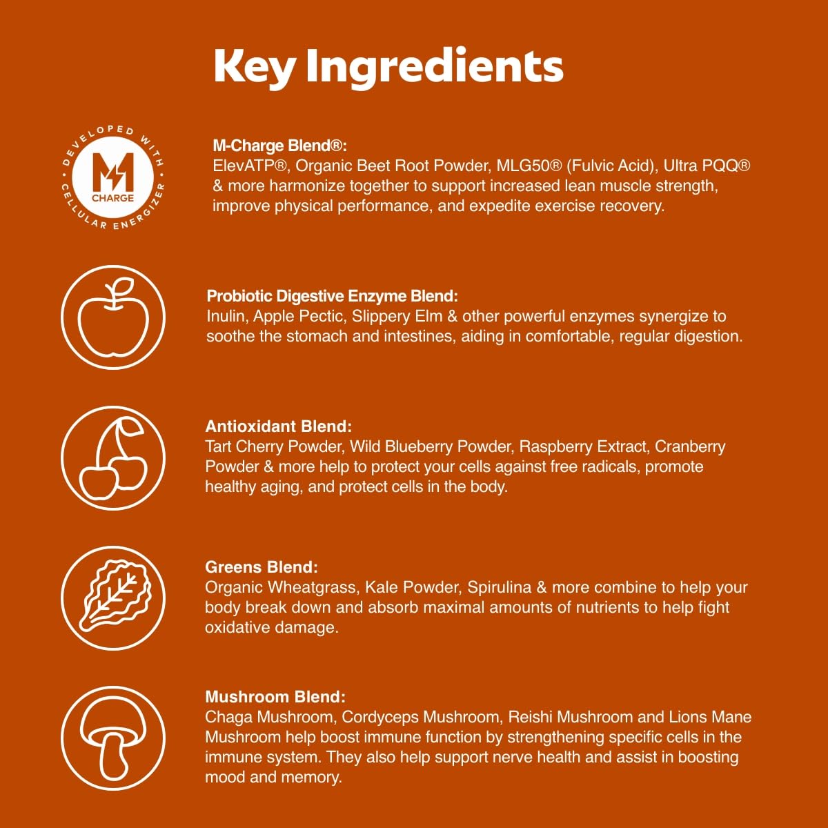 L'Evate You etiqueta con M‑Charge y lista de superalimentos visible