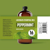 Lab Bulks tapa y cierre hermético, seguridad para almacenamiento prolongado