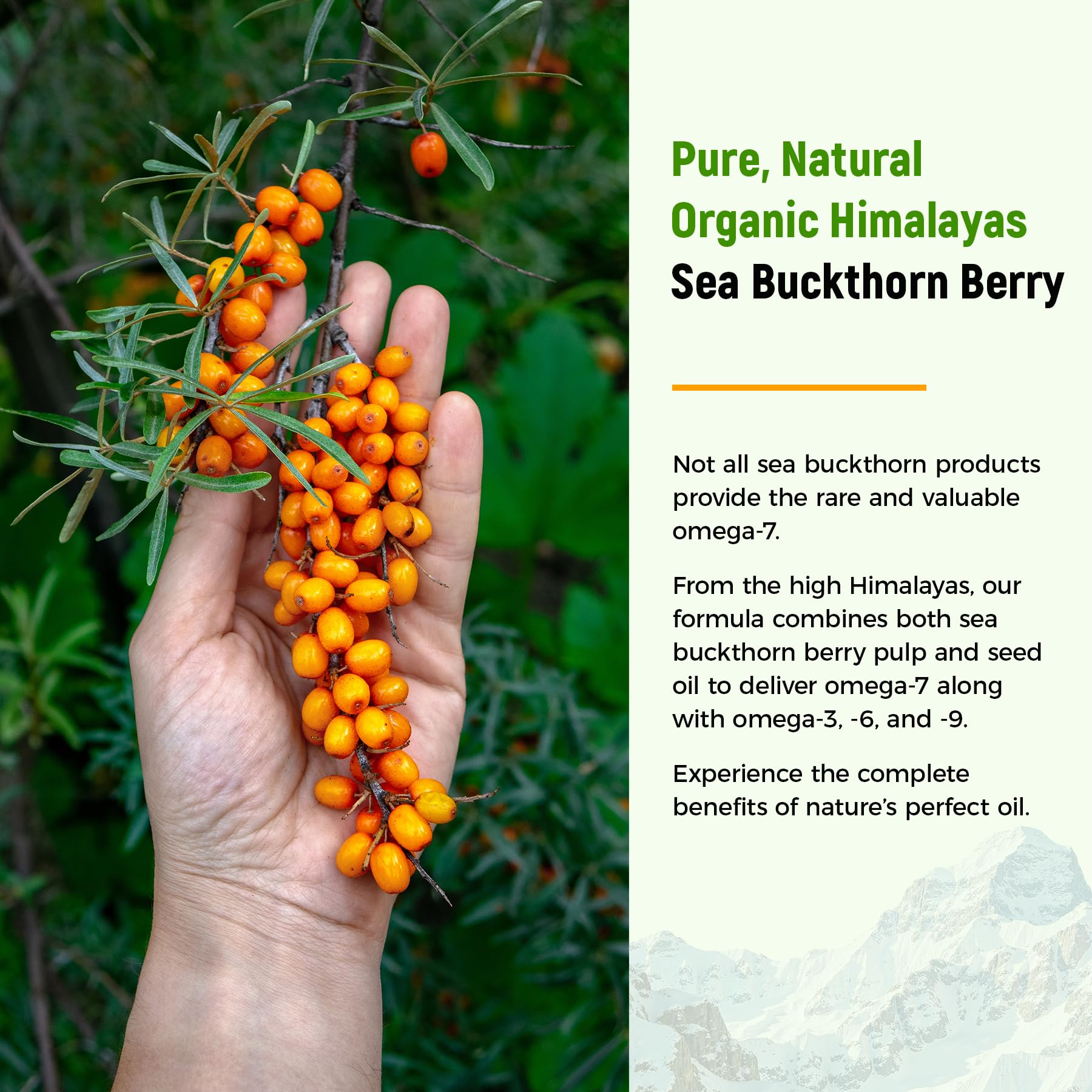 Laicuherb etiqueta con sellos USDA NSF BRC mostrando certificaciones