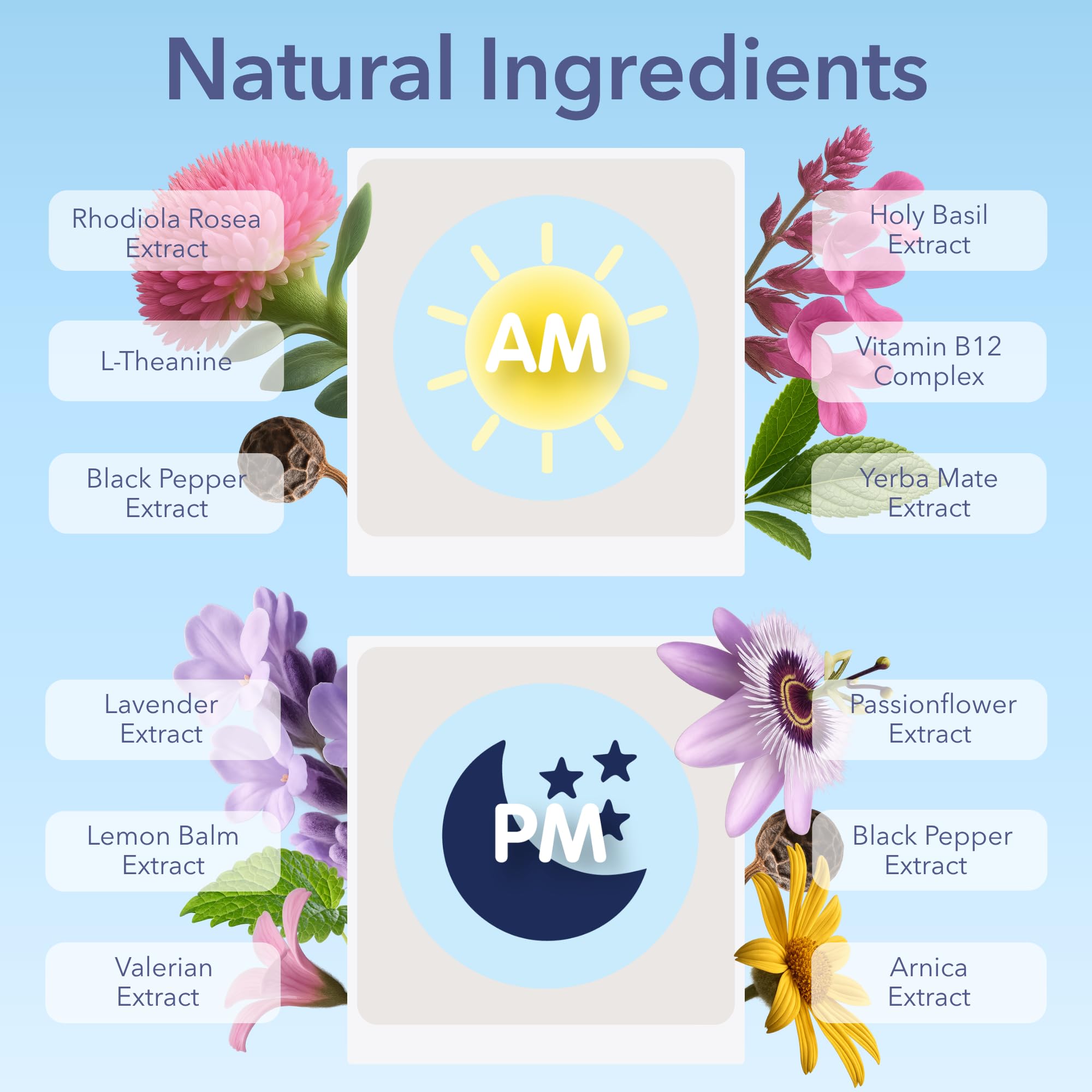 Laki Naturals detalle del parche PM con hierbas relajantes visibles