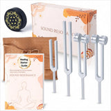LEGUANG set frontal mostrando los cuatro diapasones y el estuche, práctico para viajes