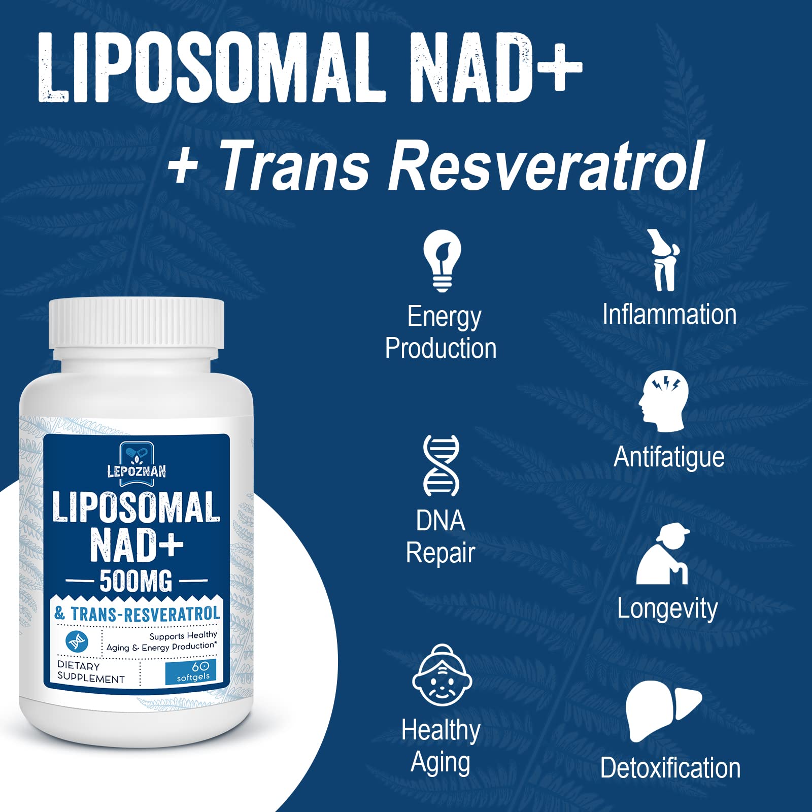 Lepoznan diagrama liposomal explicando protección y absorción