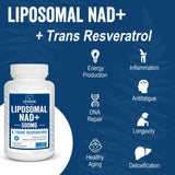 Lepoznan diagrama liposomal explicando protección y absorción