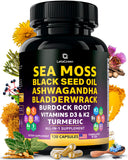 LetaGreen frasco frontal mostrando sea moss capsules y presentación conveniente