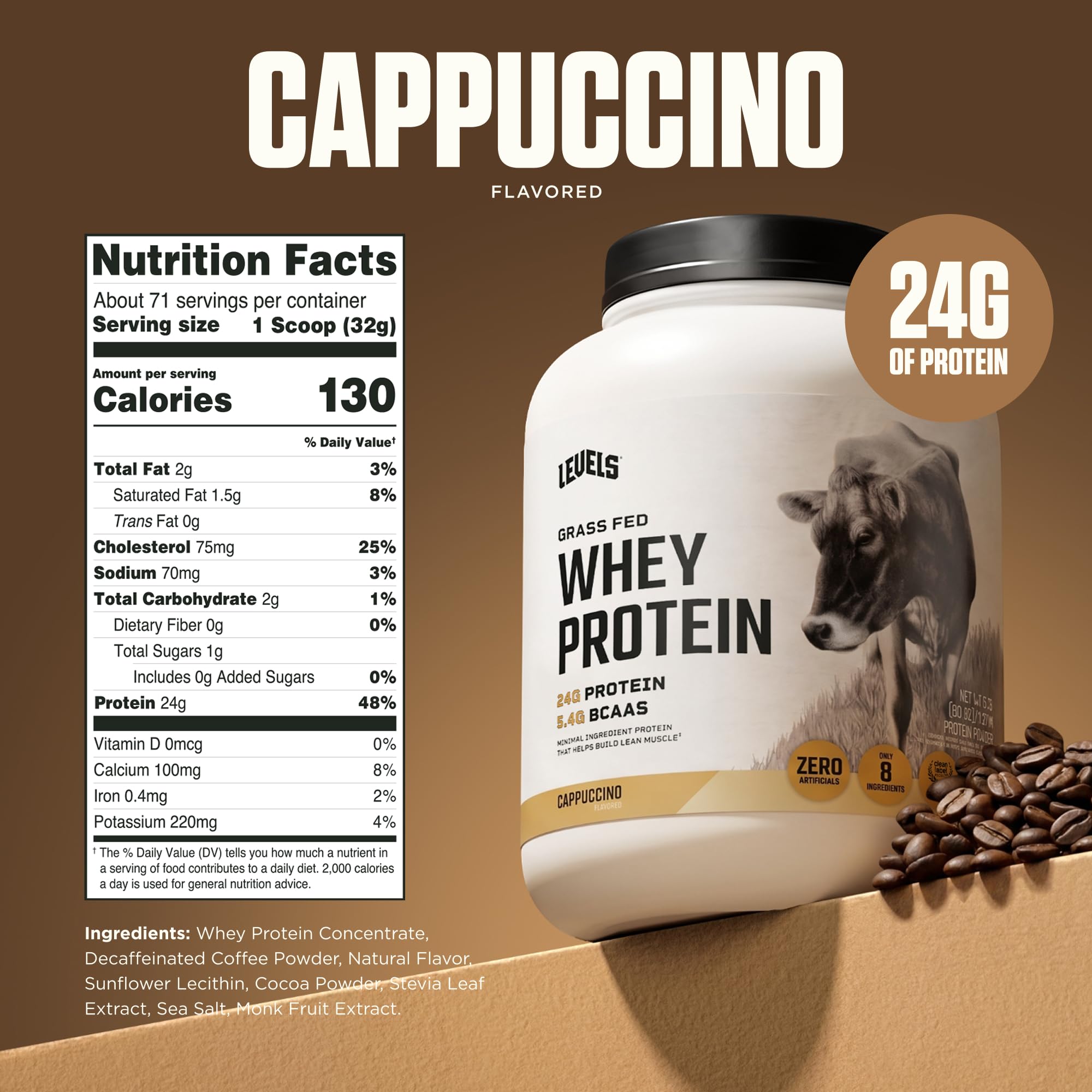 Detalle del polvo Levels Whey mostrando textura fina y fácil disolución