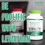 Leviathan Wellness capsulas en mano para comparar tamaño y dosificación por porción