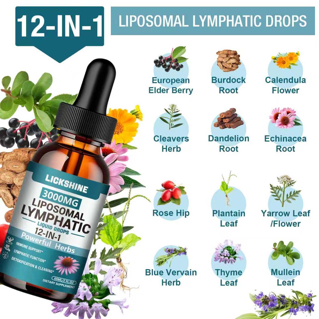lickshine etiqueta con lista de 12 hierbas, beneficio: transparencia de ingredientes
