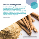 Cápsula de Ashwagandha Life Extension en mano para comparar escala y dosificación