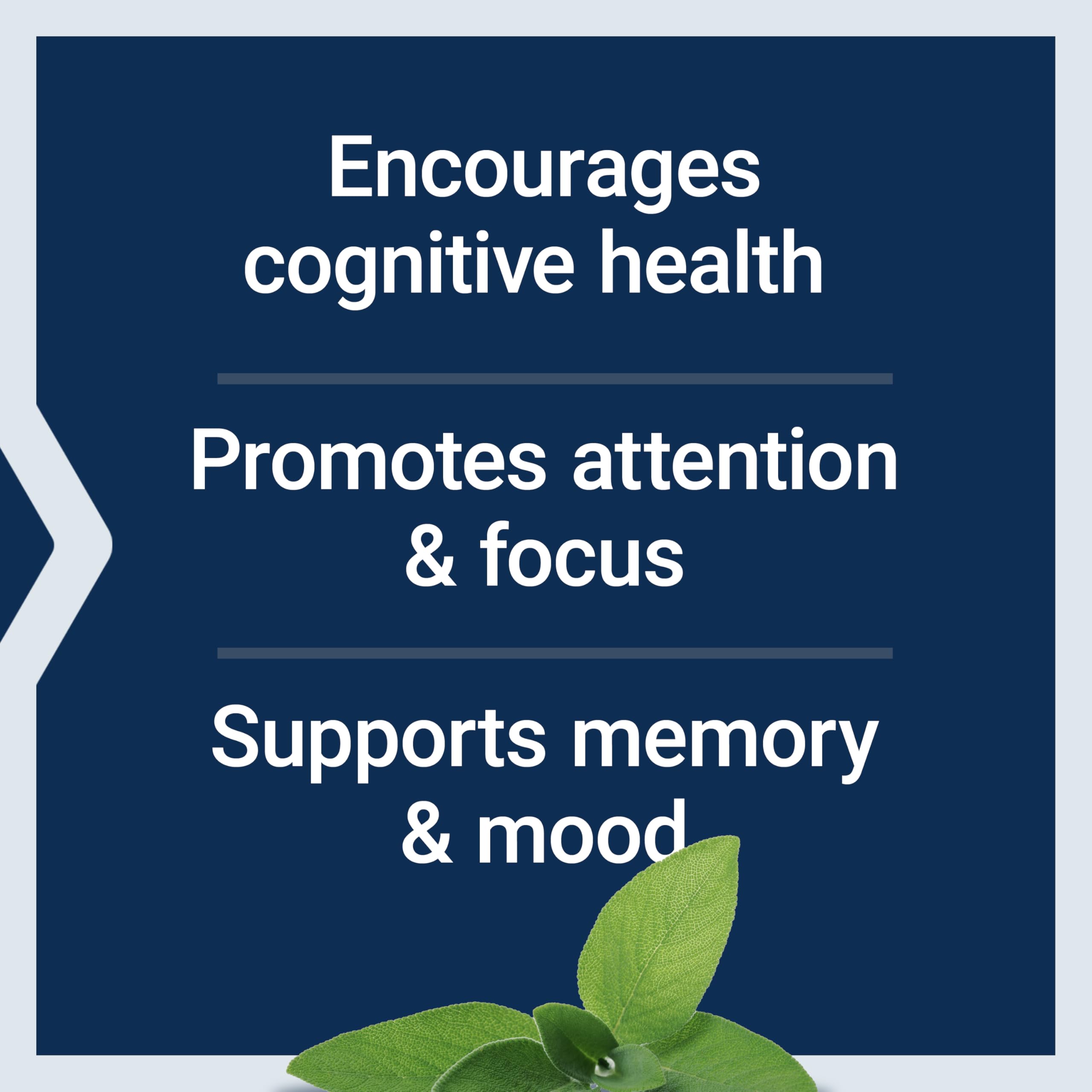 Life Extension ingredientes salvia y arándano para apoyo cognitivo