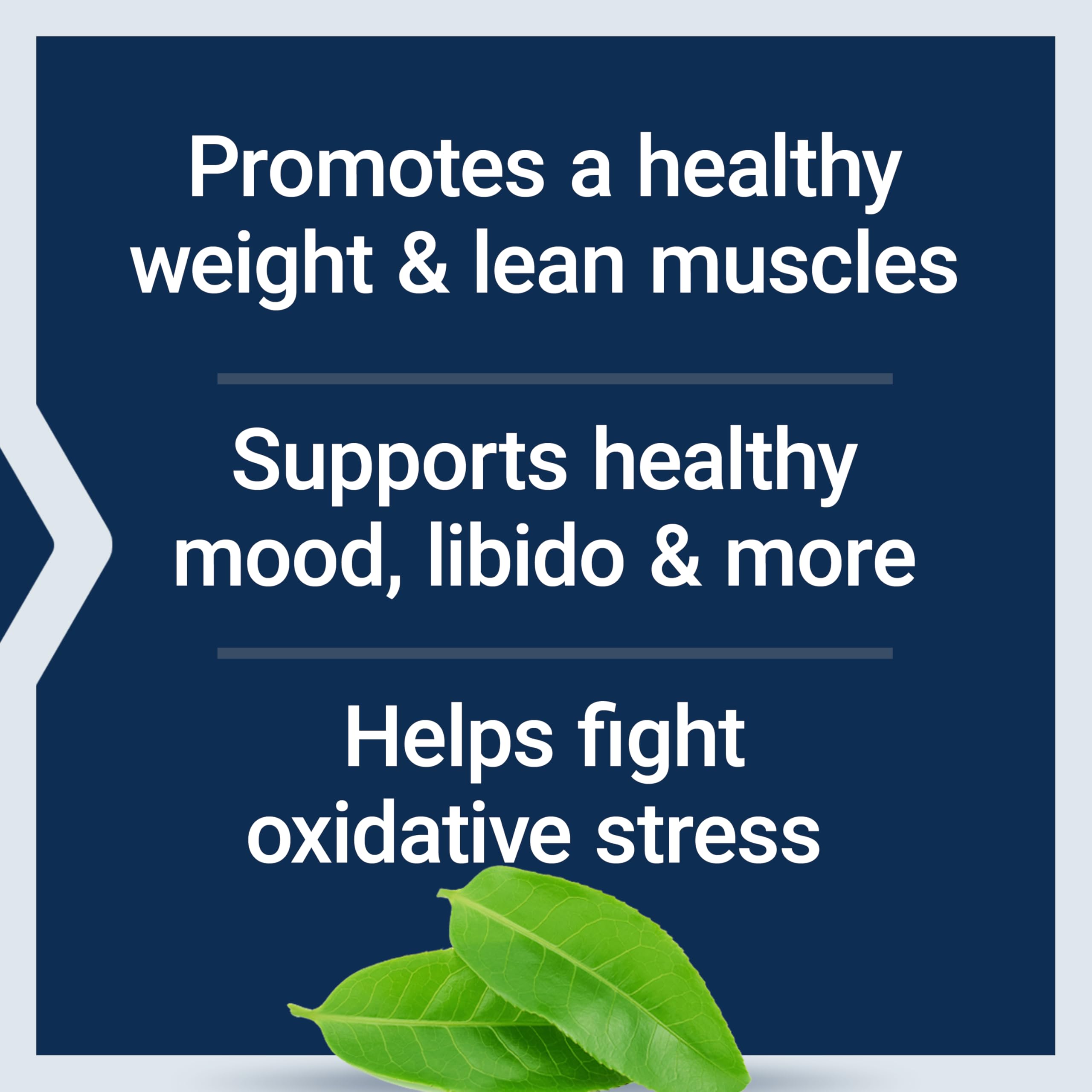 Life Extension ingredientes clave 7‑Keto y extractos botánicos para apoyo metabólico