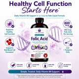 Life Solutions ingredientes naturales ilustrados junto a bayas, aporta sabor berry