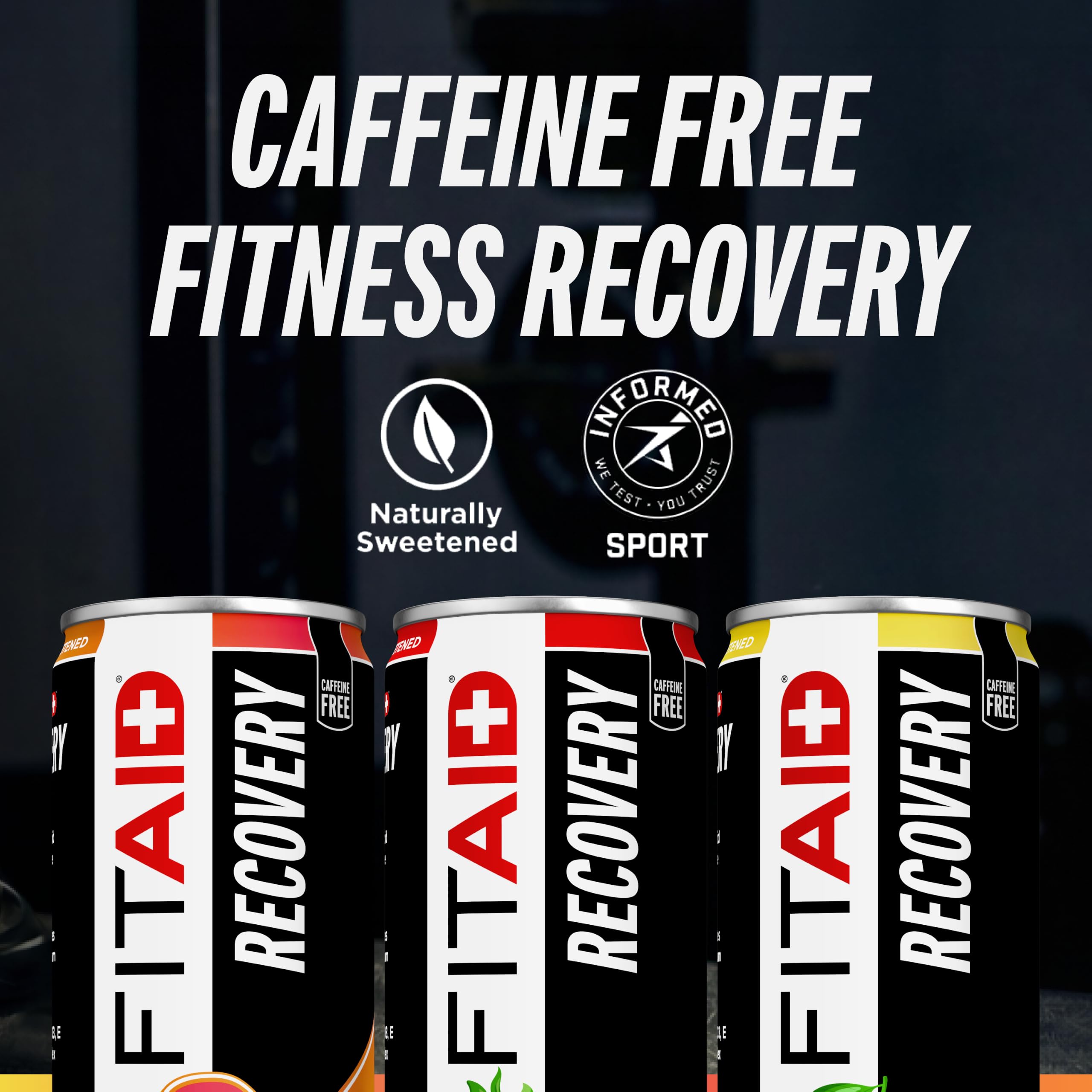 LIFEAID FITAID etiqueta de ingredientes funcionales para apoyo post-entreno