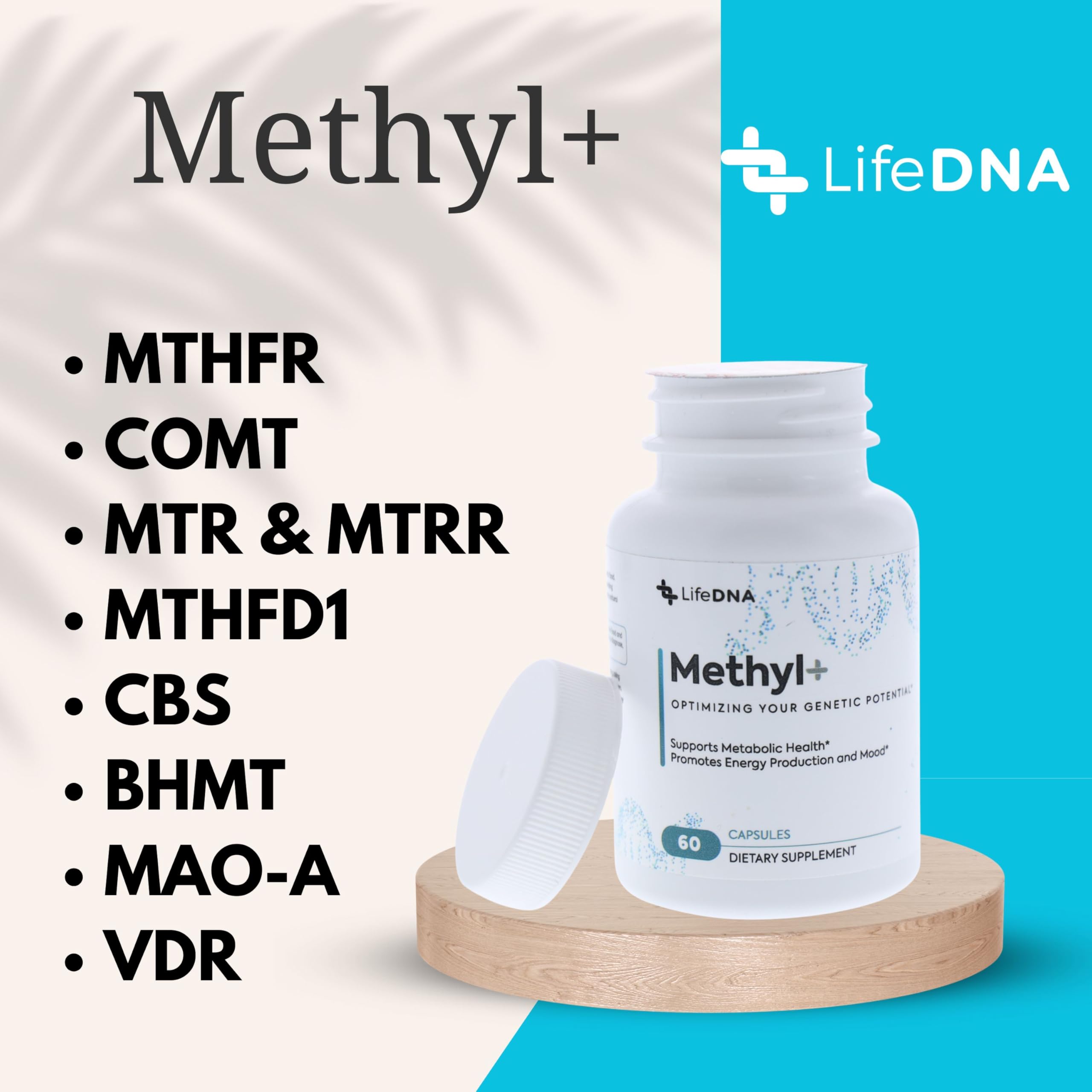 Ingredientes clave de LIFEDNA Methyl+ dispuestos: 5‑MTHF, B12 dual y TMG