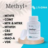 Ingredientes clave de LIFEDNA Methyl+ dispuestos: 5‑MTHF, B12 dual y TMG