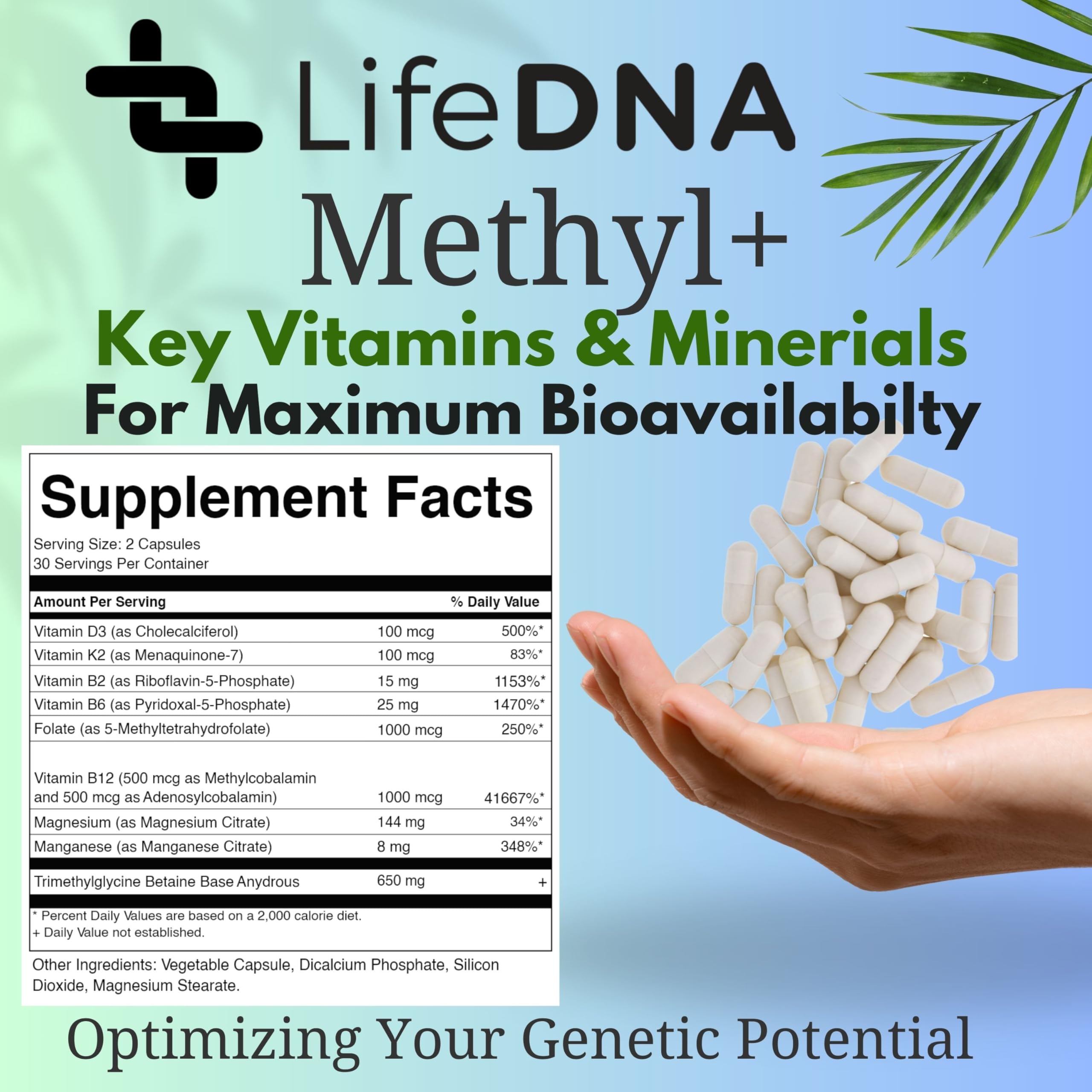 Comparación de tamaño de LIFEDNA Methyl+ frente a monedero para escala