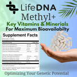 Comparación de tamaño de LIFEDNA Methyl+ frente a monedero para escala