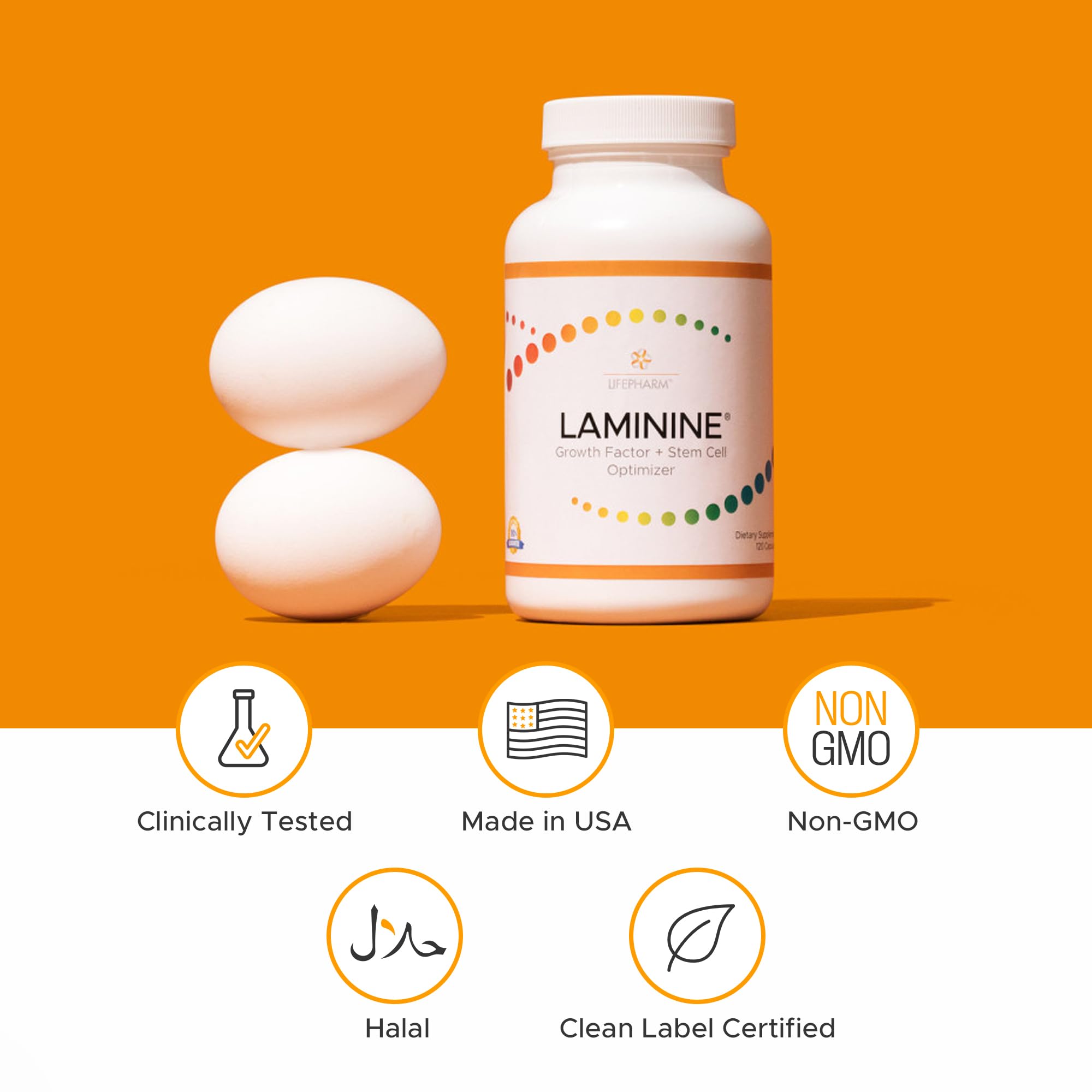 Lifepharm Laminine junto a una mano para comparar tamaño y dosificación