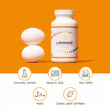Lifepharm Laminine junto a una mano para comparar tamaño y dosificación
