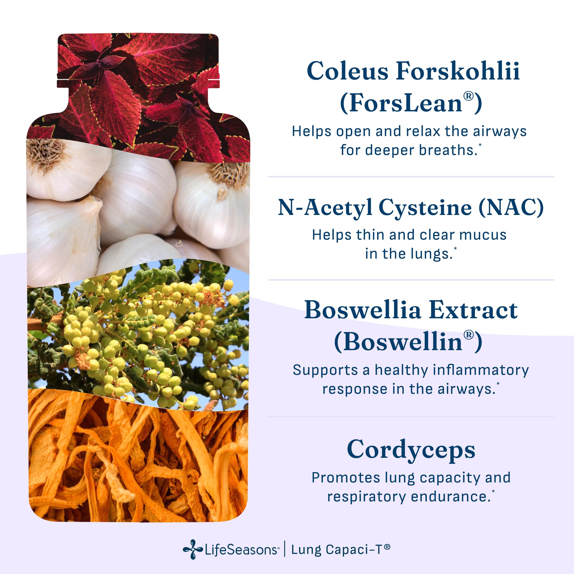 LifeSeasons etiqueta nutricional legible con información de ingredientes