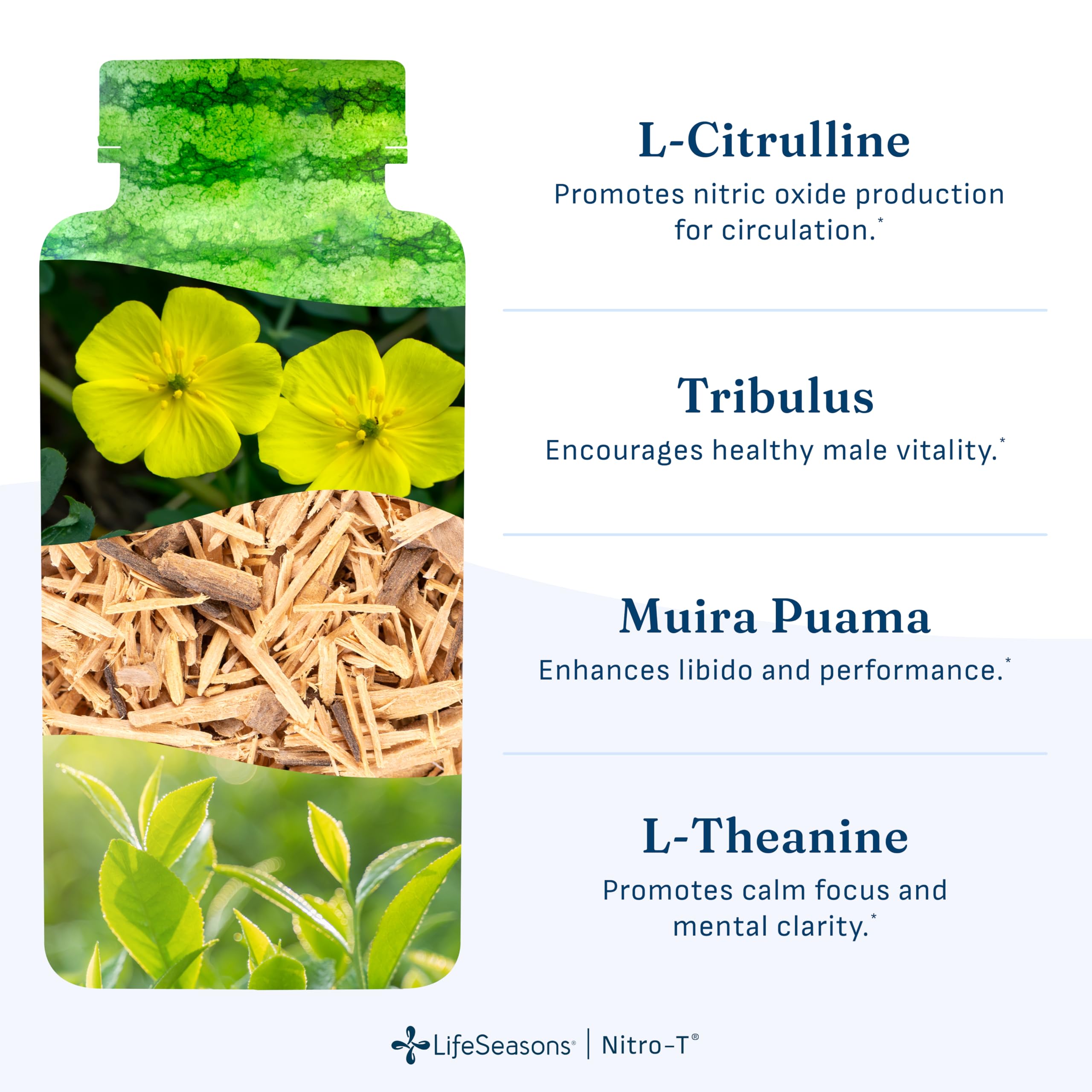 LifeSeasons Nitro-T ingredientes naturales como L‑Citrulina y Tribulus para circulación