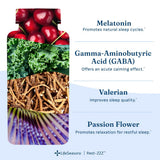 LifeSeasons etiqueta Rest-ZZZ con lista de ingredientes que apoyan la calma