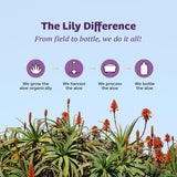 Lily Of The Desert en cocina junto a hierbas que sugieren uso digestivo diario