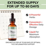 LIMELIGHT HERBALS botella junto a una regla para escala y tamaño práctico