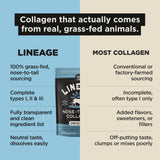 Lineage Provisions detalle de la etiqueta con lista de ingredientes limpios