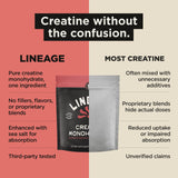 Lineage Provisions deportista usando el producto en el gimnasio para rendimiento