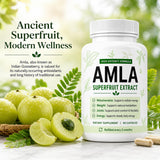 linnavarv collage de amla, ashwagandha, rhodiola y azafrán, destaca ingredientes naturales
