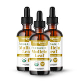 LIQUIDHEALTH envase frontal de mullein orgánico mostrando la etiqueta y beneficios