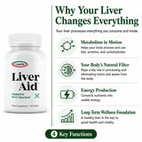 LIVERITE ingredientes clave visualizados (colina, aminoácidos, B12) para soporte metabólico