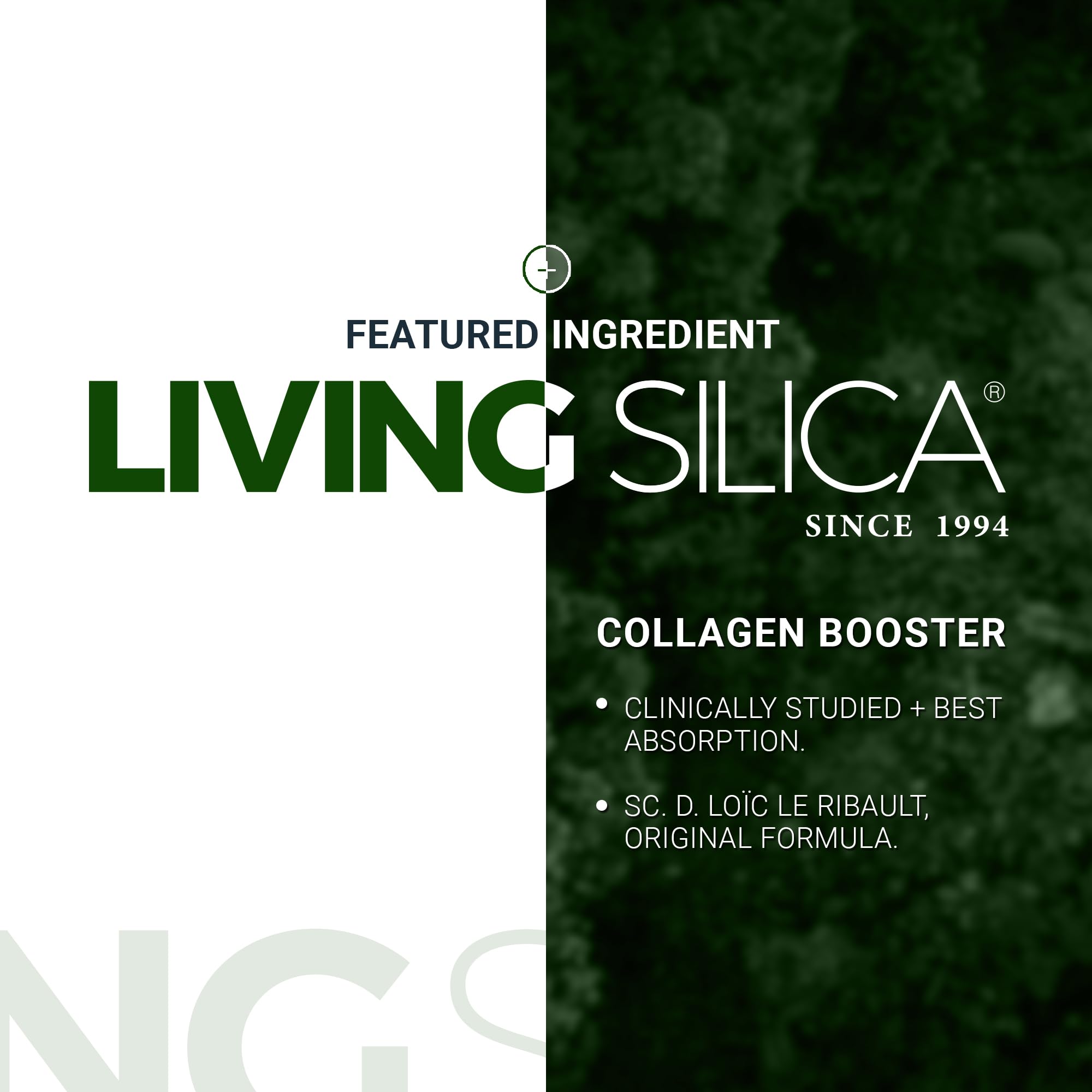 Living Silica en ambiente de bienestar para inspirar uso diario